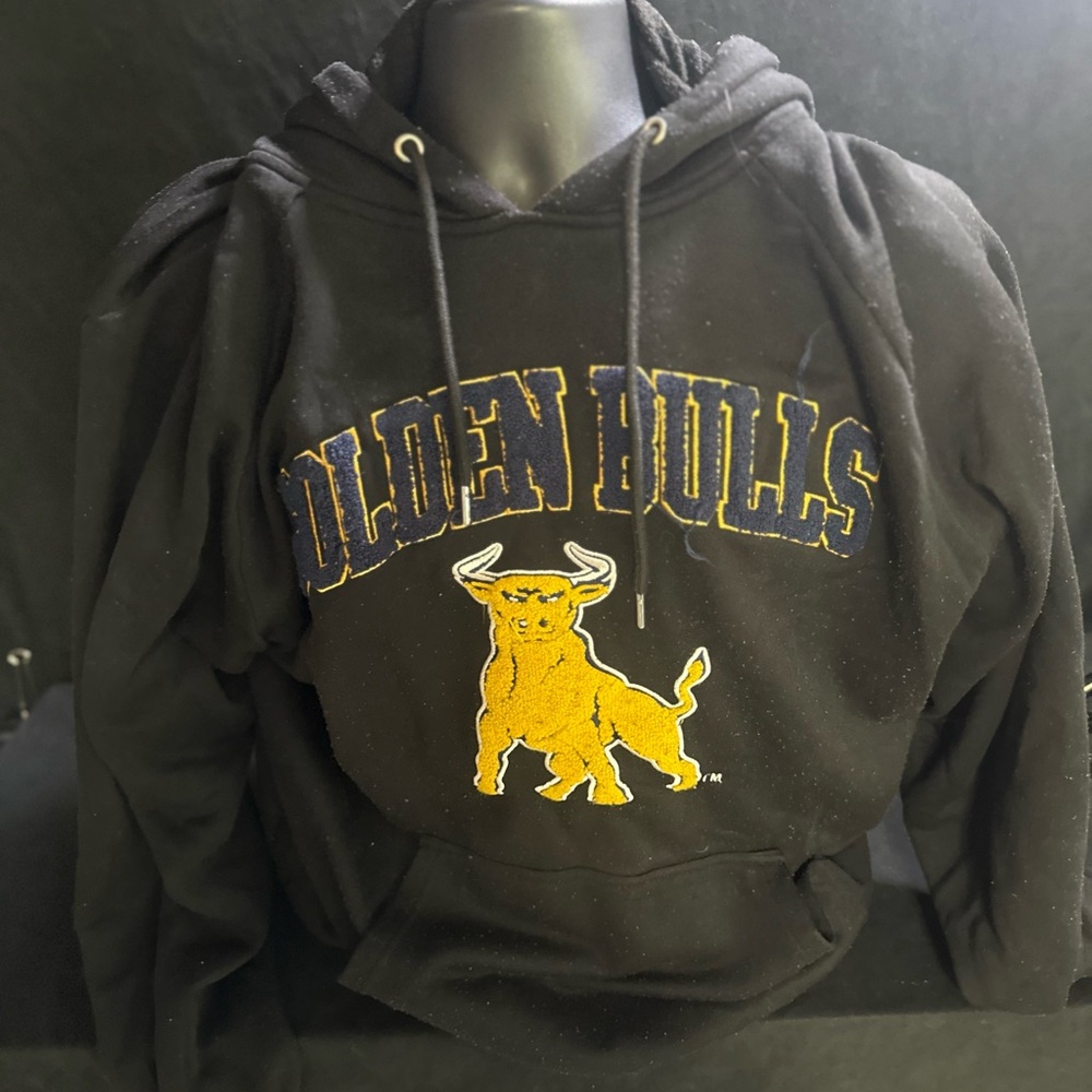 Golden Bulls Black Hoodie-Big Boy head gear-2XL-#327